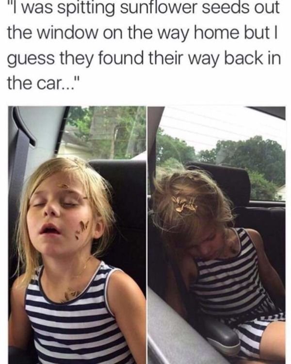 Funny Memes (35 pics)