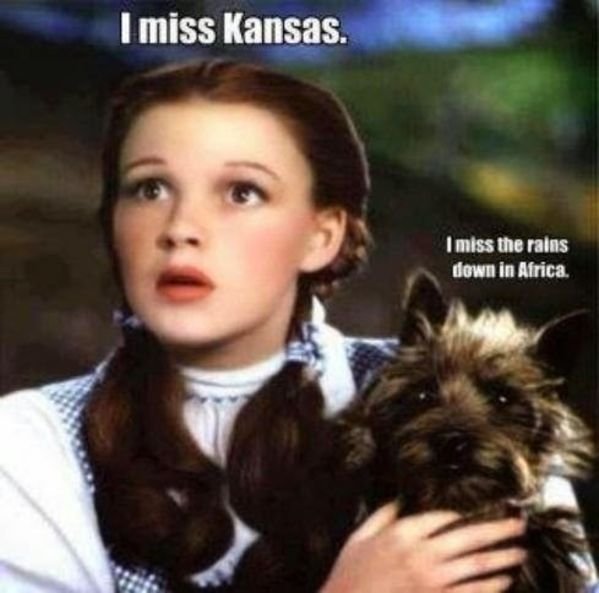 Funny Memes (35 pics)
