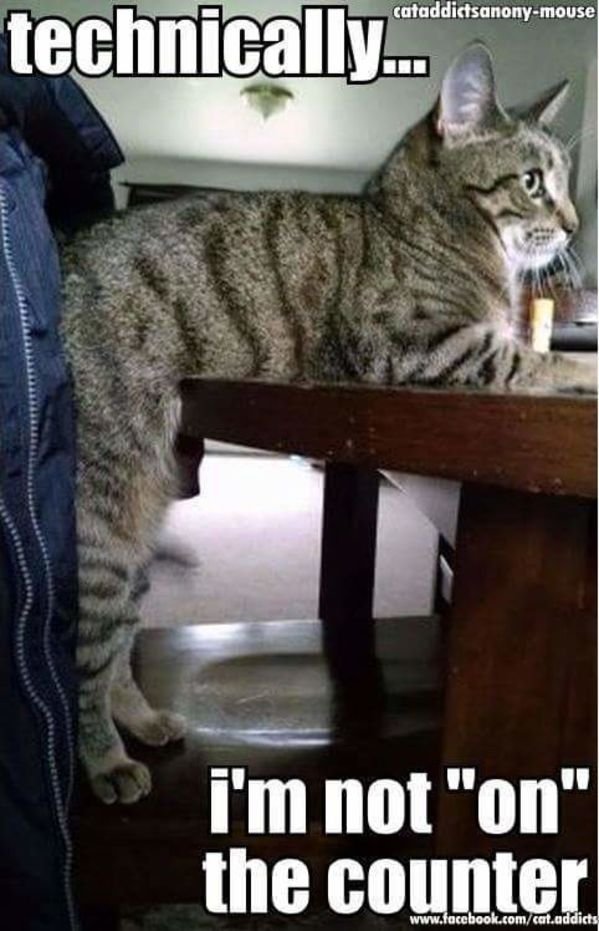 Funny Memes (35 pics)