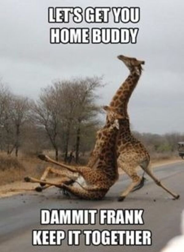Funny Memes (35 pics)