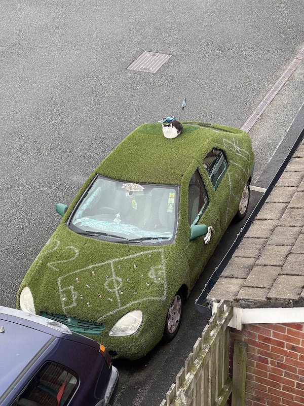 Crazy Cars (38 pics)