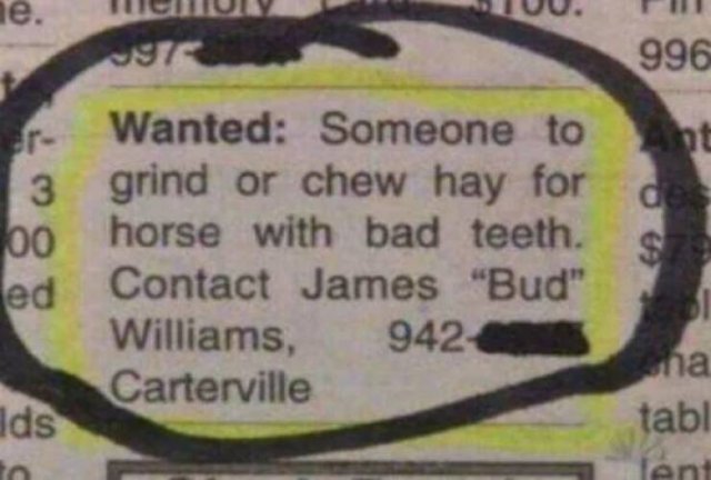What Is Going On Here? (20 pics)