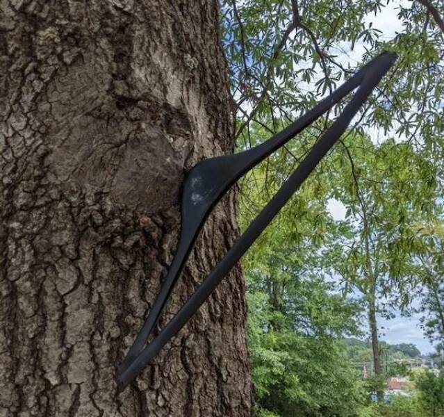 What Is Going On Here? (20 pics)