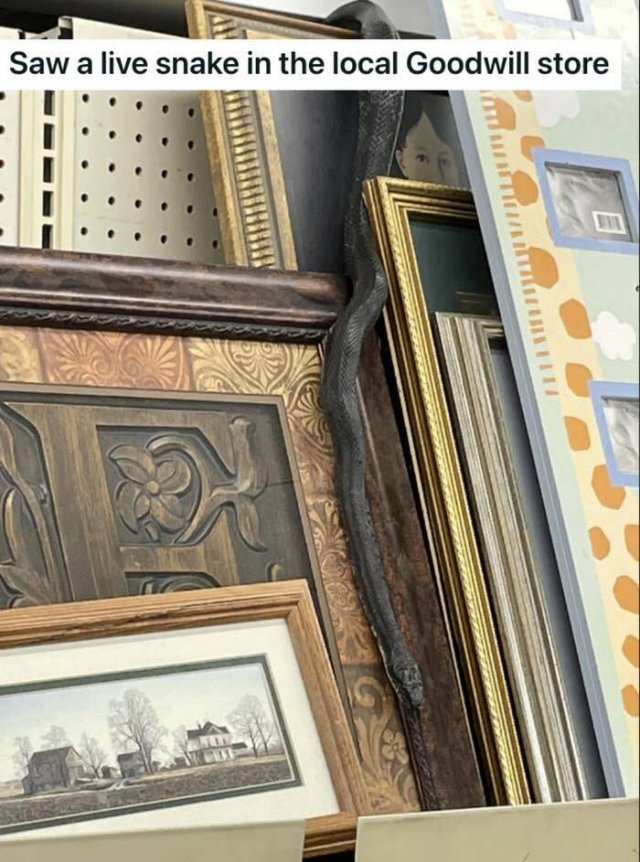 Creepy Finds (23 pics)