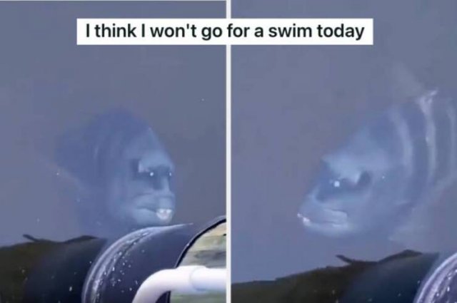Creepy Finds (23 pics)