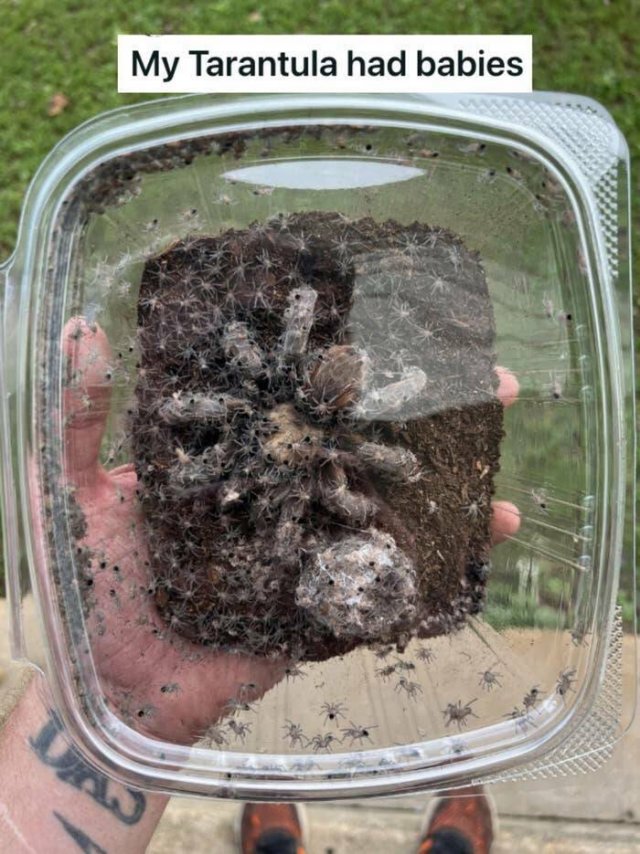 Creepy Finds (23 pics)