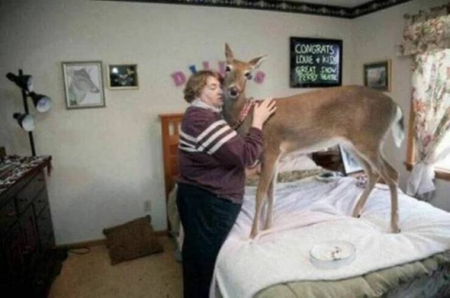 What Is Going On Here? (20 pics)