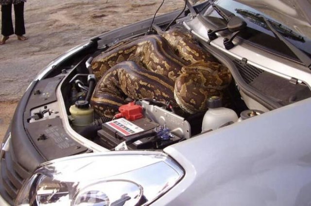 Creepy Finds (23 pics)