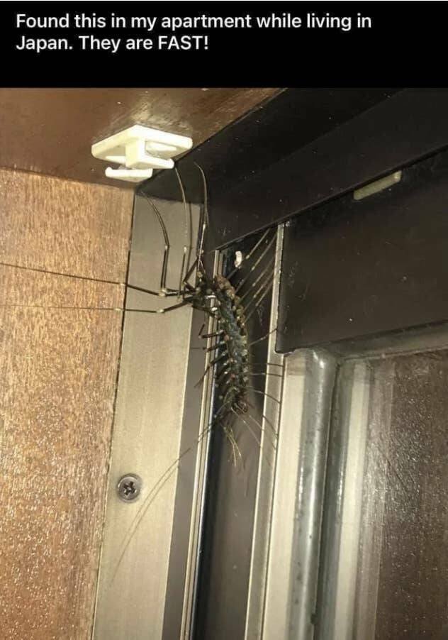 Creepy Finds (23 pics)
