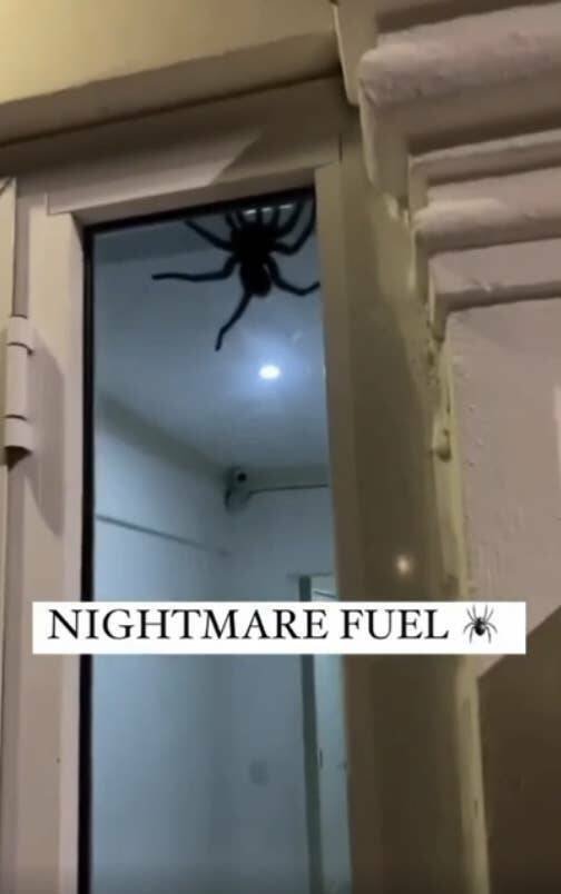 Creepy Finds (23 pics)