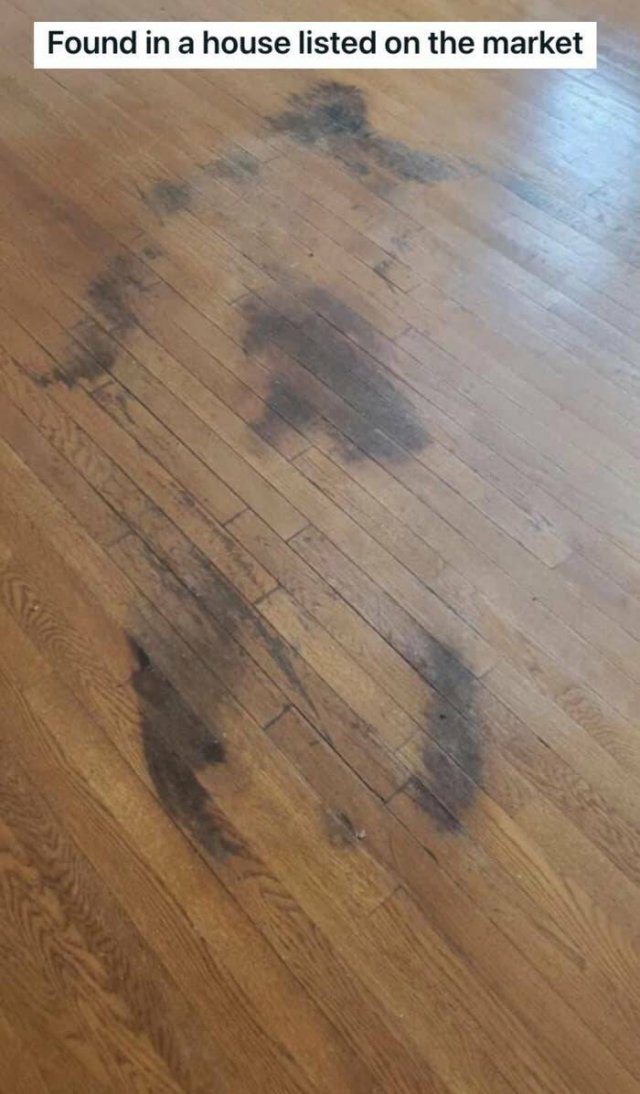 Creepy Finds (23 pics)