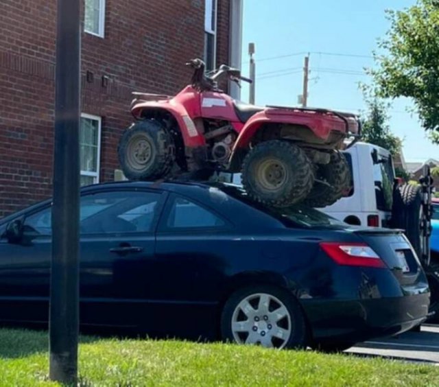 What Is Going On Here? (20 pics)