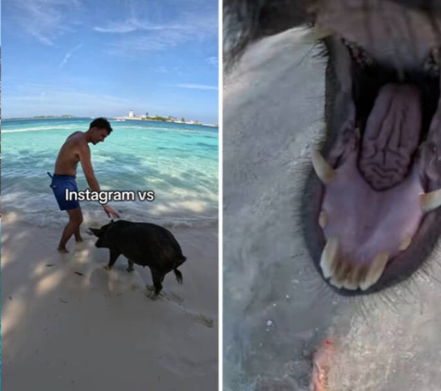 Social Media Against Reality (28 pics)