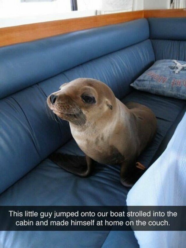 Life Is Beautiful (41 pics)
