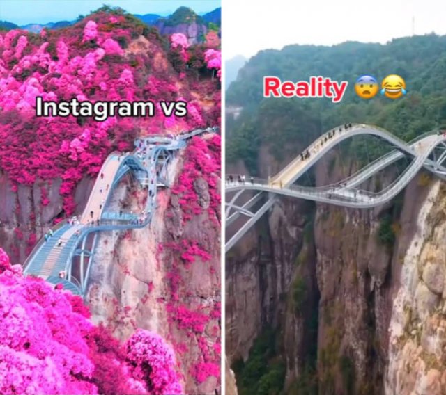 Social Media Against Reality (28 pics)