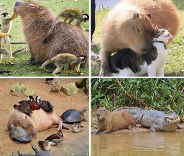 Life Is Beautiful (41 pics)