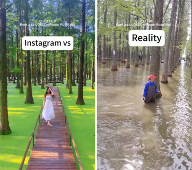 Social Media Against Reality (28 pics)