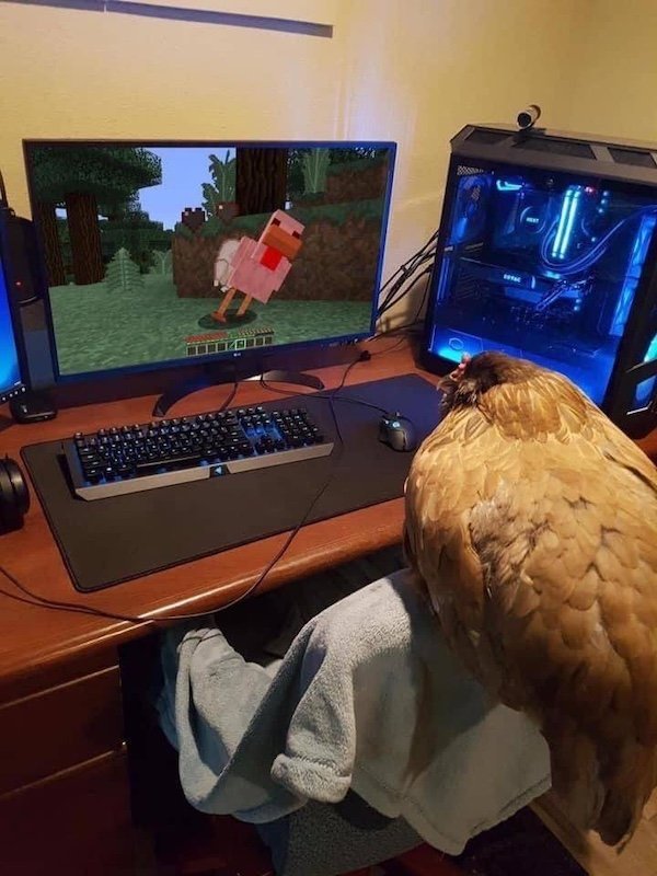 Jokes And Pictures For Gamers (33 pics)