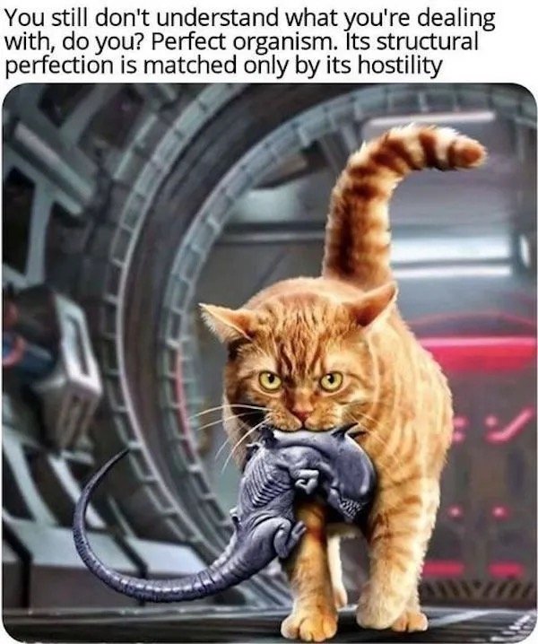 Memes For Sci-Fi Fans (48 pics)