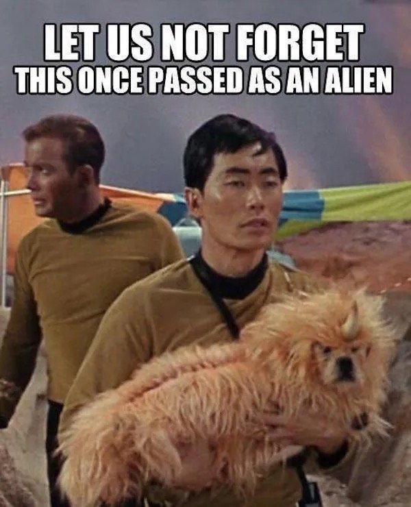 Memes For Sci-Fi Fans (48 pics)