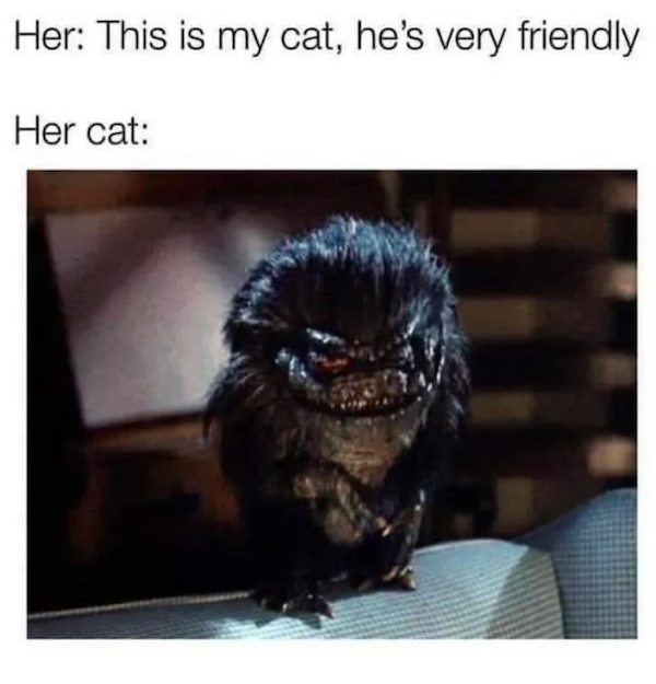 Memes For Sci-Fi Fans (48 pics)