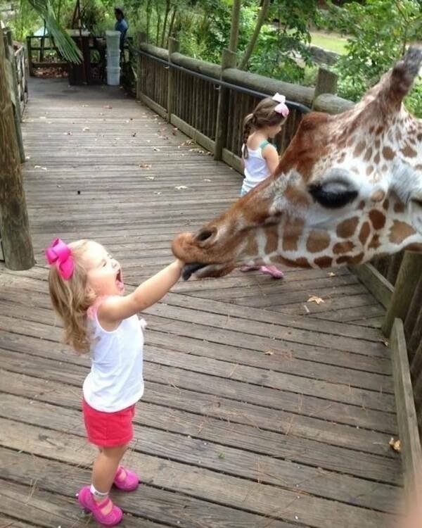Posts And Photos For Good Mood (17 pics)