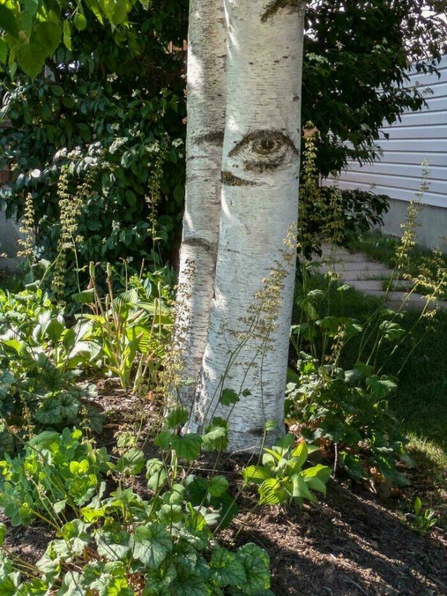 Interesting Finds (24 pics)