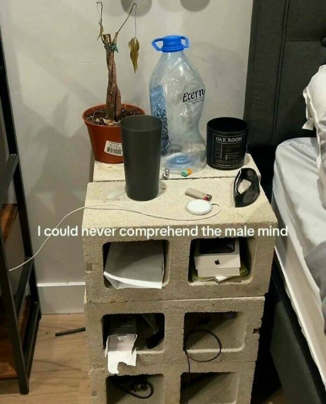 What Is Going On Here? (24 pics)