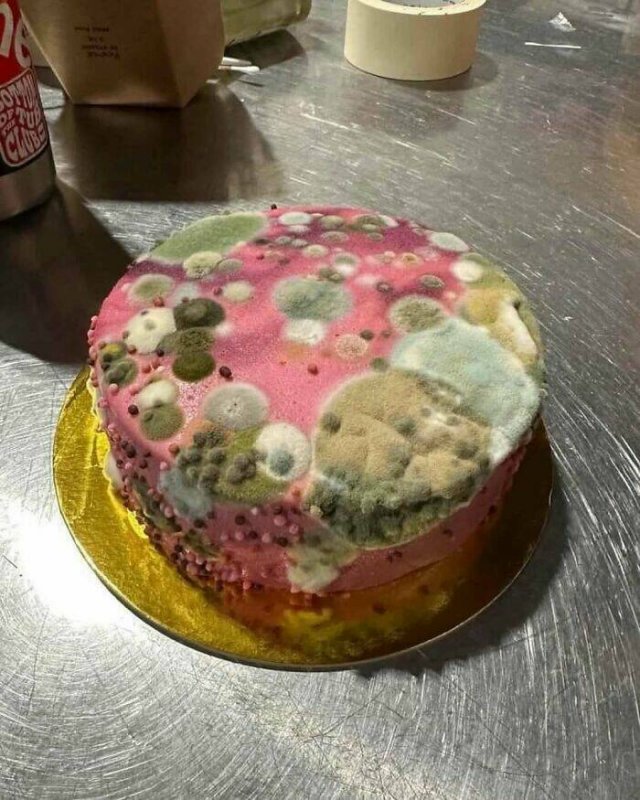 What Is Going On Here? (24 pics)