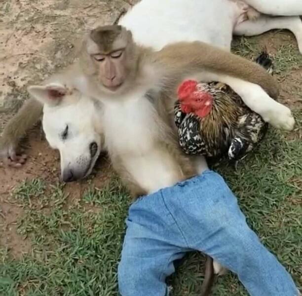 What Is Going On Here? (24 pics)