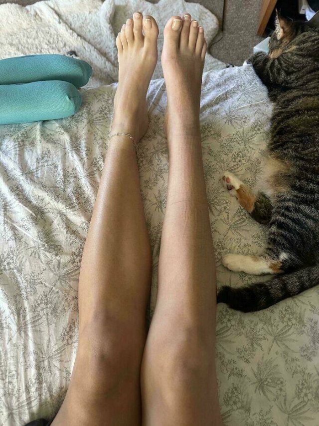 Interesting Finds (24 pics)