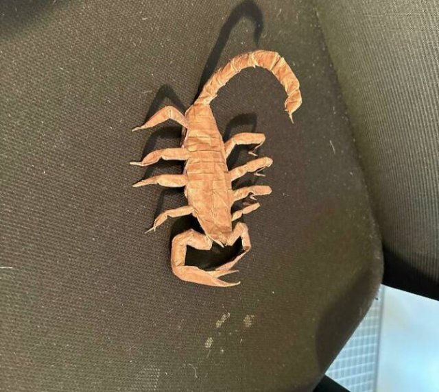 Interesting Finds (24 pics)