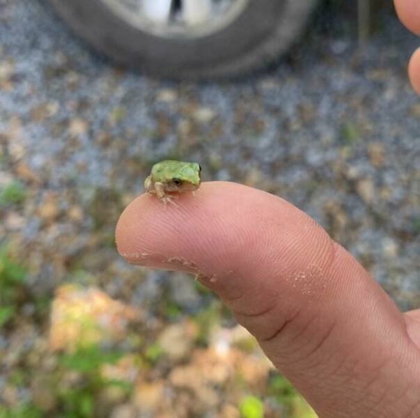 Interesting Finds (24 pics)