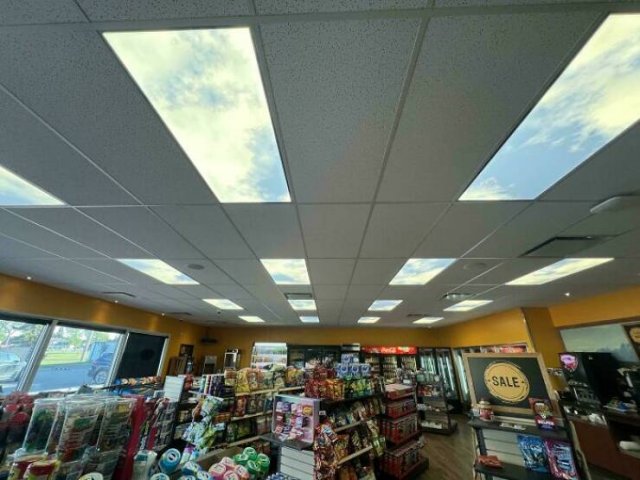 Interesting Finds (24 pics)