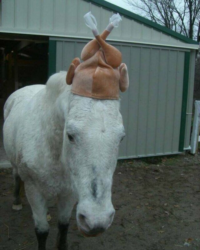 What Is Going On Here? (24 pics)
