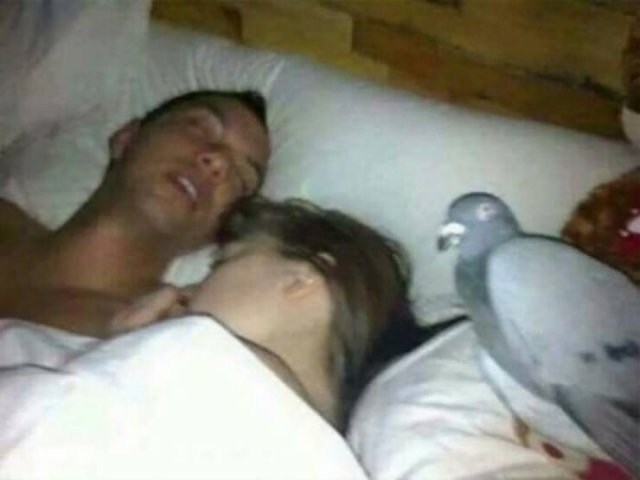 What Is Going On Here? (24 pics)