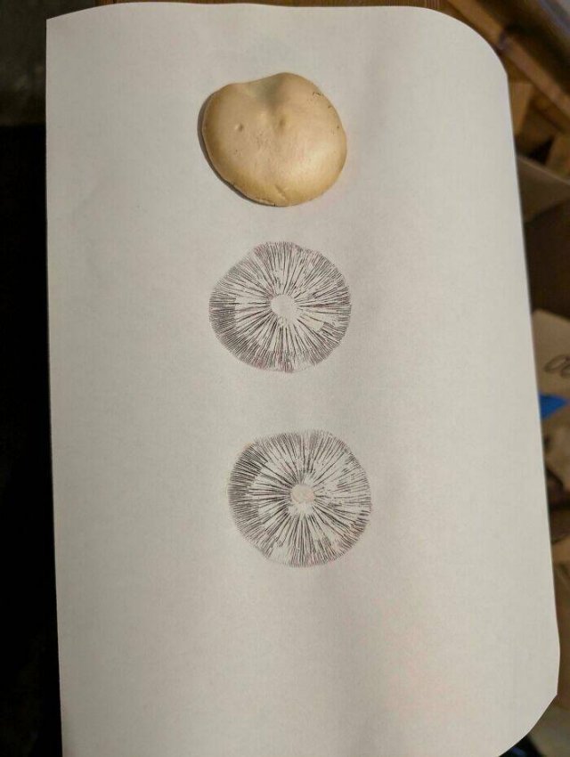 Interesting Finds (24 pics)