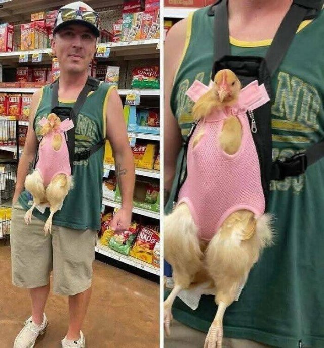 What Is Going On Here? (24 pics)