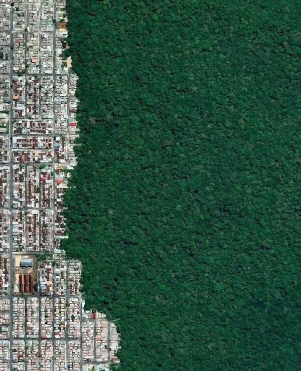 Fascinating Moments (23 pics)