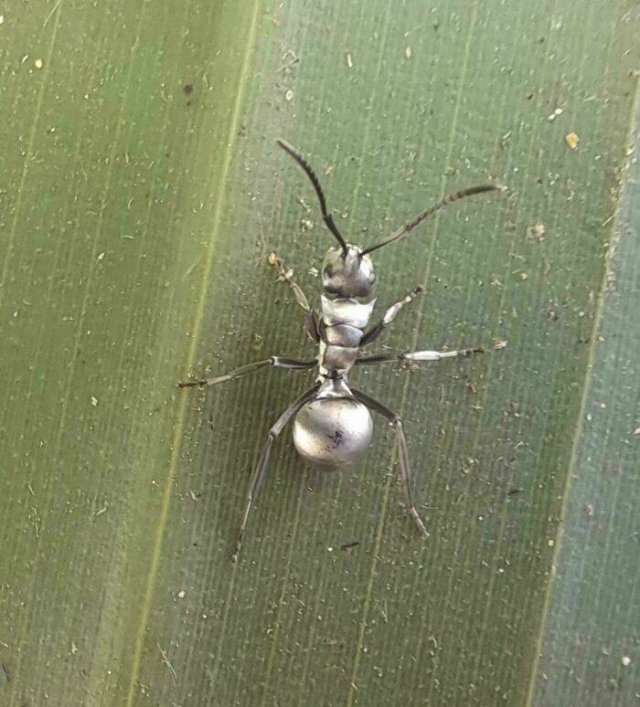 Interesting Finds (24 pics)