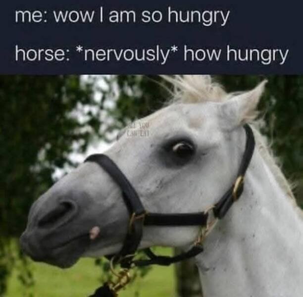 Memes For Animal Lovers (23 pics)