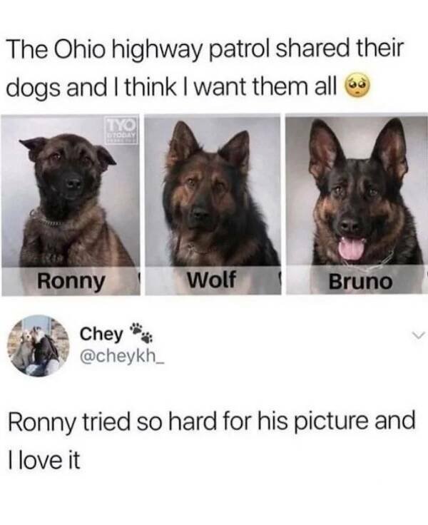 Memes For Animal Lovers (23 pics)