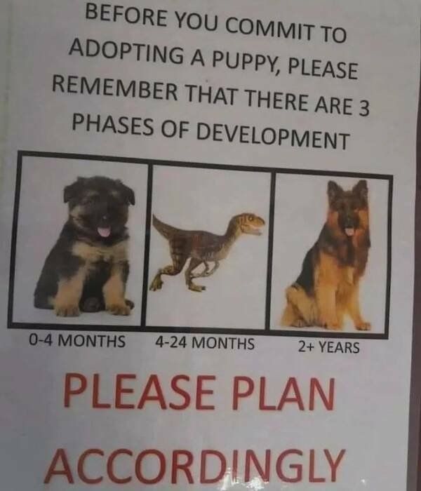 Memes For Animal Lovers (23 pics)