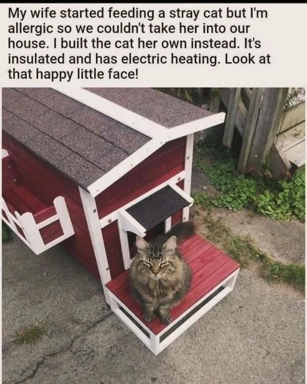 Memes For Animal Lovers (23 pics)