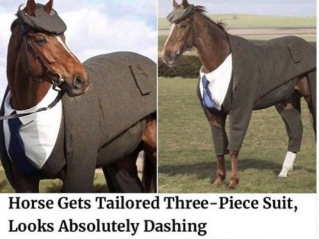Memes For Animal Lovers (23 pics)