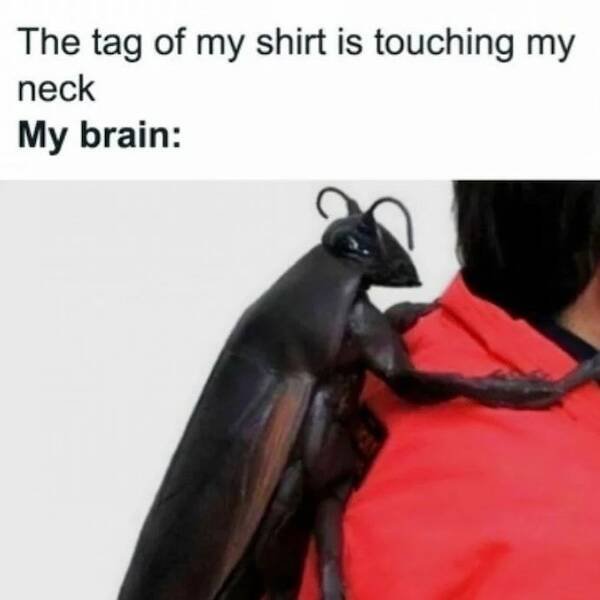 Memes For Animal Lovers (23 pics)