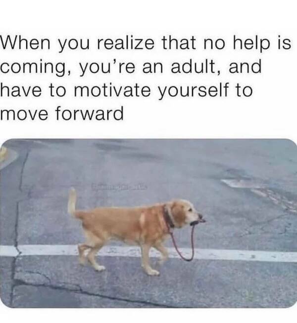 Memes For Animal Lovers (23 pics)