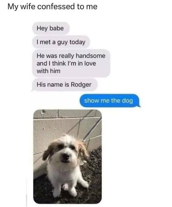 Memes For Animal Lovers (23 pics)
