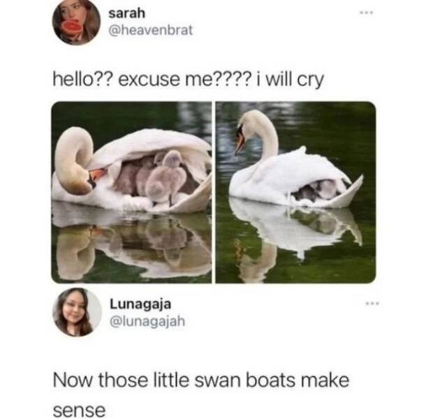 Memes For Animal Lovers (23 pics)