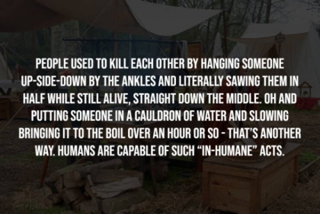 The Frightening Truth (14 pics)